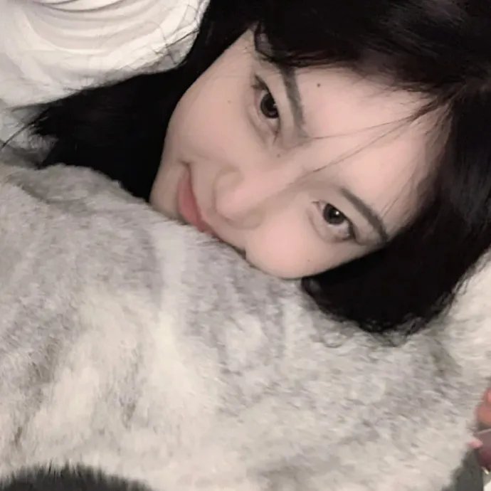 红翼行动